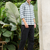 White Checkered Casual Men's Shirt