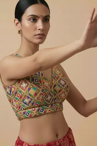 Self embroidered designer saree blouse