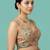 Self embroidered designer saree blouse