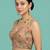 Self embroidered designer saree blouse