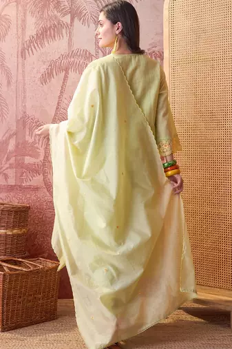 lime green chikankari embroidered   cotton stitched straight palazzo salwar suit set