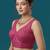 Pink embroidered traditional saree blouse