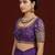 Wine embroidered traditional saree blouse