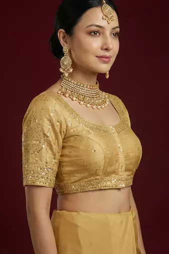 Gold embroidered traditional saree blouse