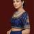 Navy blue embroidered traditional saree blouse