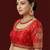 Red embroidered traditional saree blouse