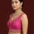 Light pink embroidered traditional saree blouse