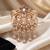 Men's gold finish white stone detailing traditional brooch