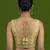 Gold embroidered traditional saree blouse