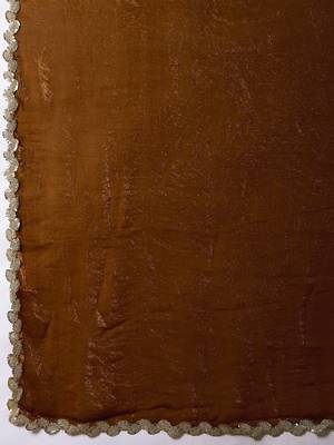 Brown sequinse lace border Satin Saree with blouse 4