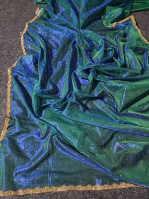 Green colout sequins work net saree with blouse 4