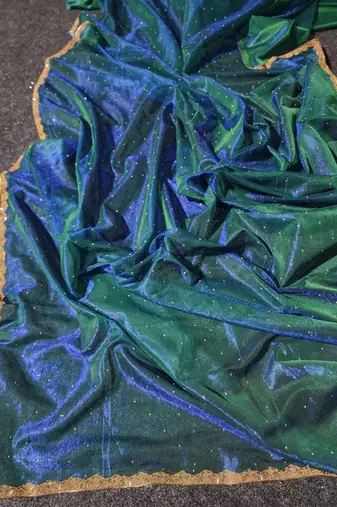 Green colout sequins work net saree with blouse