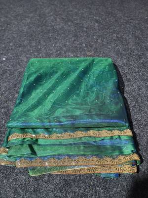 Green colout sequins work net saree with blouse 6