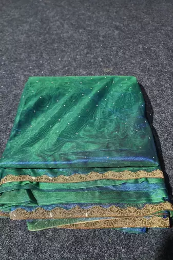 Green colout sequins work net saree with blouse