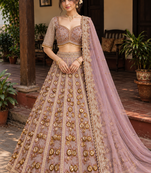 Light PInk Color Embroidery,Dori And Sequence Work Butterfly Net Lehenga Choli