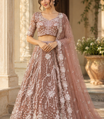 Chiku Color Sequins And Dori Work Butterfly Net Lehenga Choli
