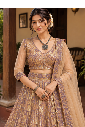 Dark Beige Color Embroidery,Sequins Work Butterfly Net Lehenga Choli 2