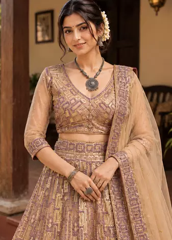 Dark Beige Color Embroidery,Sequins Work Butterfly Net Lehenga Choli