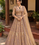 Dark Beige Color Embroidery,Sequins Work Butterfly Net Lehenga Choli
