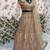 Dark Beige Color Embroidery,Sequins Work Butterfly Net Lehenga Choli
