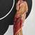 light orange cotton blend woven pallu casul wear saree