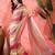 Multicolor chiffon printed saree with stripes print