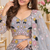 Grey Color Multi Thread Embroidery,Dori And Sequins Work Butterfly Net Lehenga Choli 