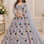Grey Color Multi Thread Embroidery,Dori And Sequins Work Butterfly Net Lehenga Choli 