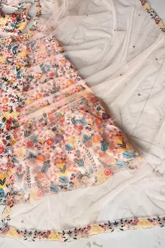 Peach Color Multi Thread Embroidery Work Butterfly Net Lehenga Choli 