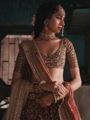 Brown Thread Lehenga Choli With Dupatta 2