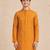 Boy's mustard rayon digital print knee length kurta