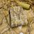 multi unstitched shimmer print handwork with printed dupatta linen dress material