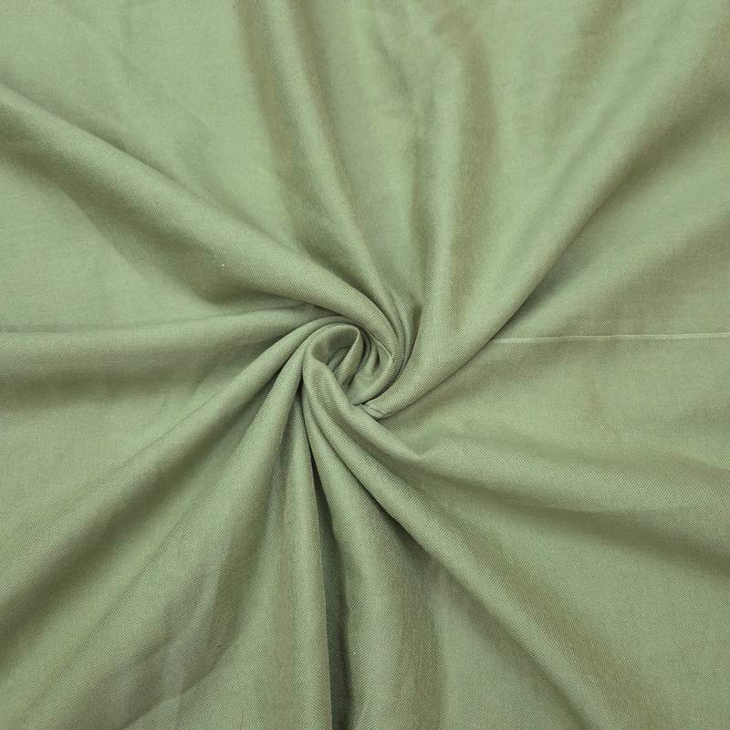 light green unstitched handwork with embroidered dupatta salsa dress material