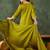 Green silk blend embroidered palazzo set