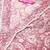 Peach jaipuri printed v neck a line pure cotton kurta
