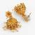 gold plated dual necklace combo set with jhumka earrings