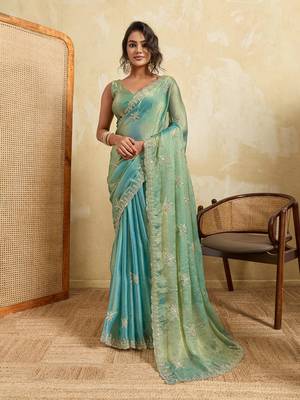 Tissue saree with silver star embroidery & embellished border 1