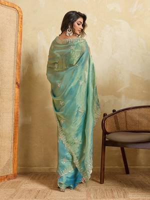 Tissue saree with silver star embroidery & embellished border 2