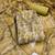 olive summer linen cotton ethnic salwar kameez