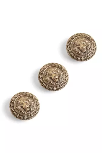 Antique gold plated lion face button cover
