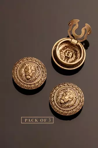 Antique gold plated lion face button cover