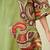 Women ethnic motifs printed indie prints kurta