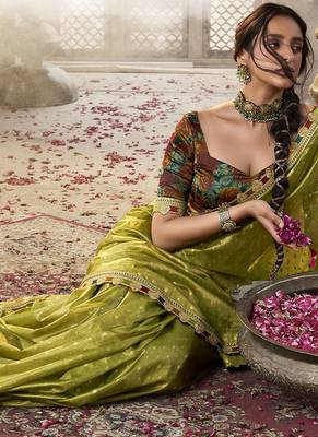 olive  zari tissue lace work festive wear saree 2
