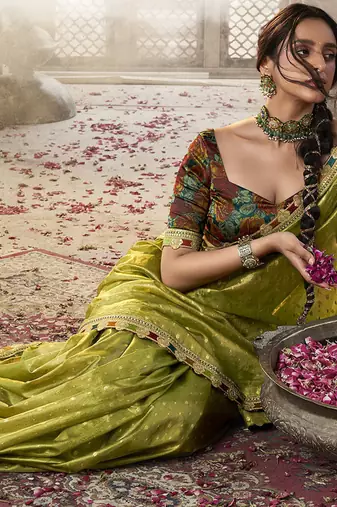 olive  zari tissue lace work festive wear saree