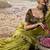 olive  zari tissue lace work festive wear saree