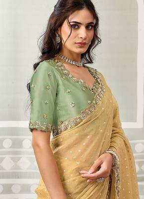Chiku georgette jacquard sequince work party wear saree 2