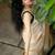 Cream green silk blend jacuard work festival saree with unstitched blouse piece