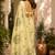 Chikoo color digital printed chanderi ready to wear saree with blouse