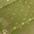 pista green floral zari booti semi silk blend banarasi saree