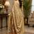 chiku color digital printed chanderi ready to wear saree with blouse